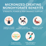 Micronized Creatine Monohydrate Tablets - 500 mg