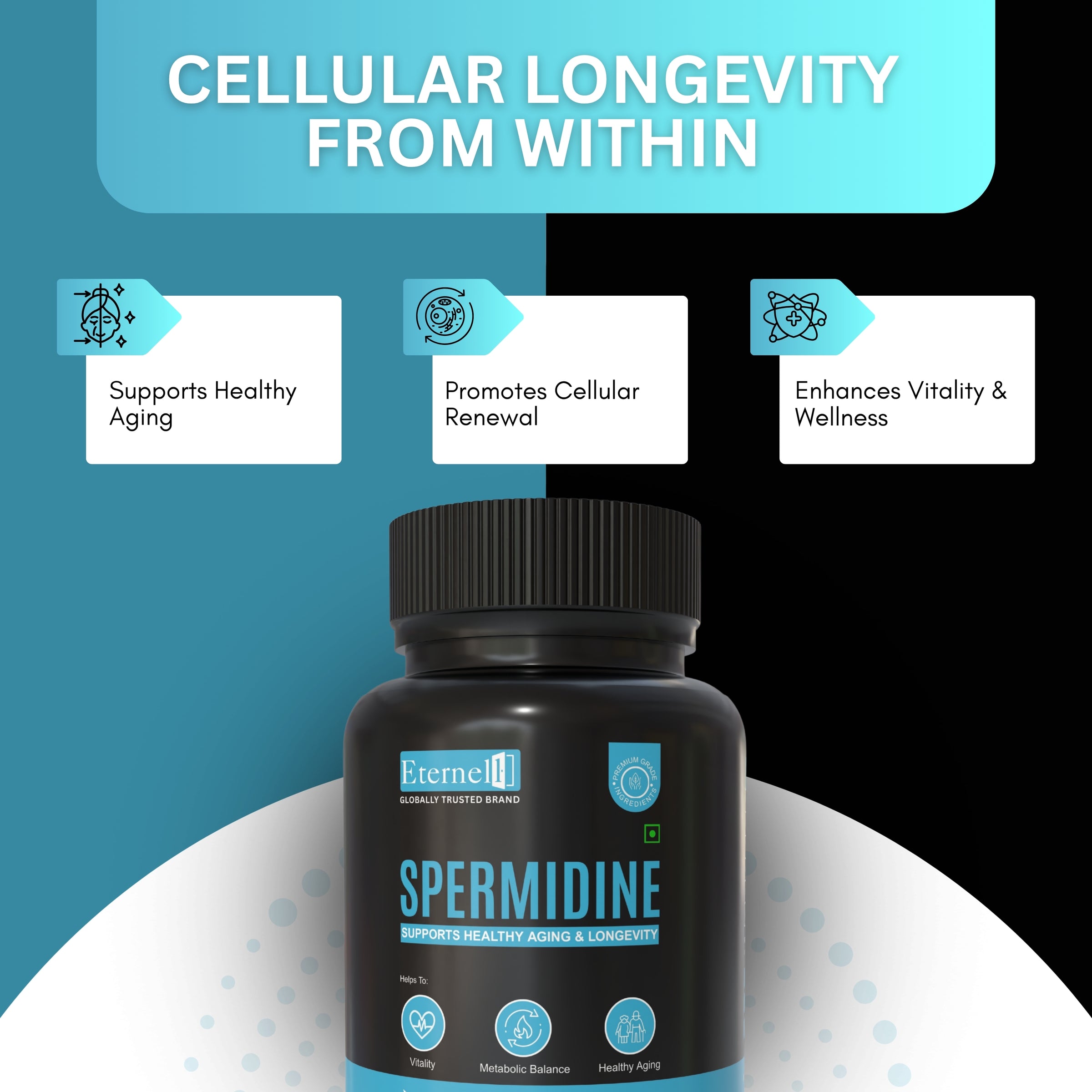 Spermidine - 100 mg