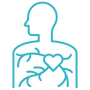 Heart & Systemic Disease Link