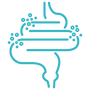 Gut Lining & Leaky Gut