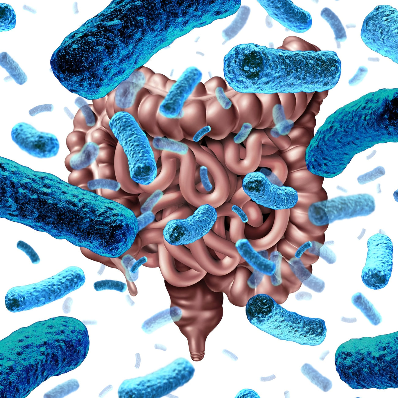 Your Gut Holds the Key to