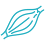 Muscle Fibre Type